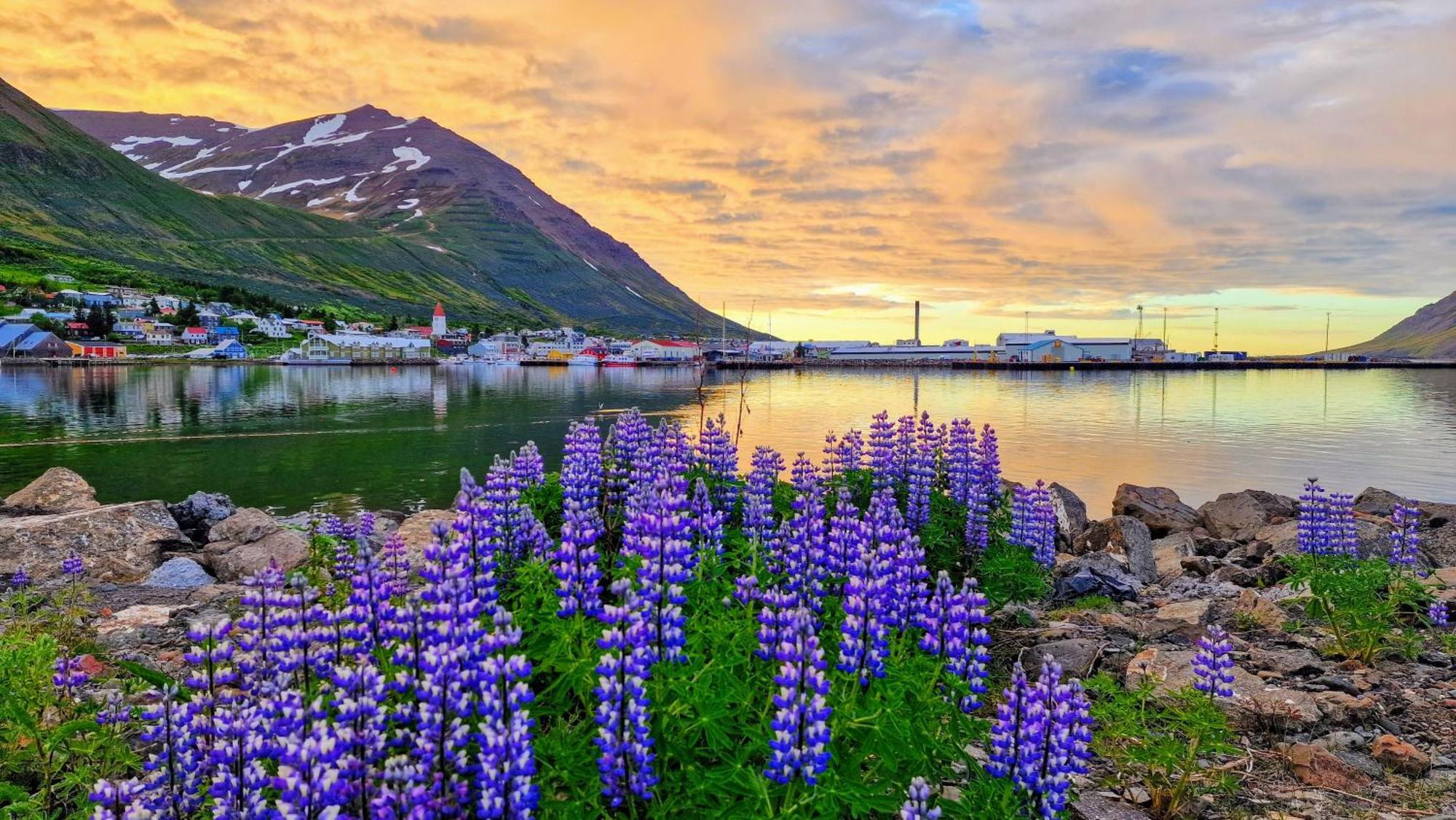 Landakot The Perfect Getaway By Staynorth Siglufjordur Εξωτερικό φωτογραφία